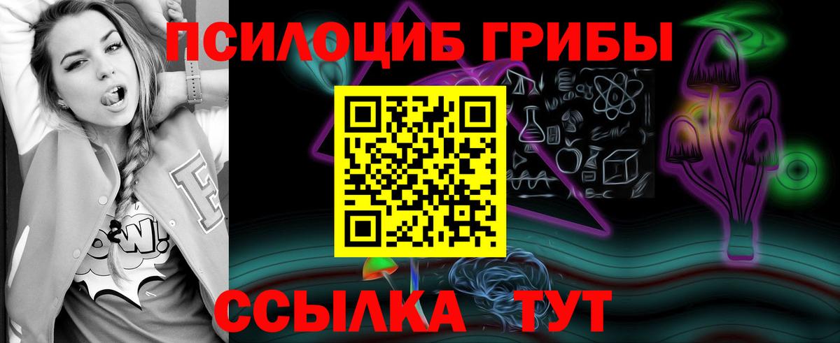 Галлюциногенные грибы Cubensis  Вход с VPN  Камышин  Галлюциногенные грибы GOLDEN TEACHER 